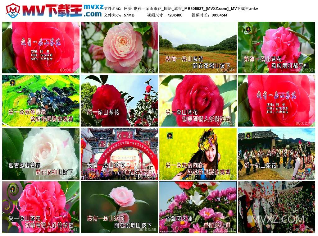 阿美-我有一朵山茶花_国语_流行_MB305937